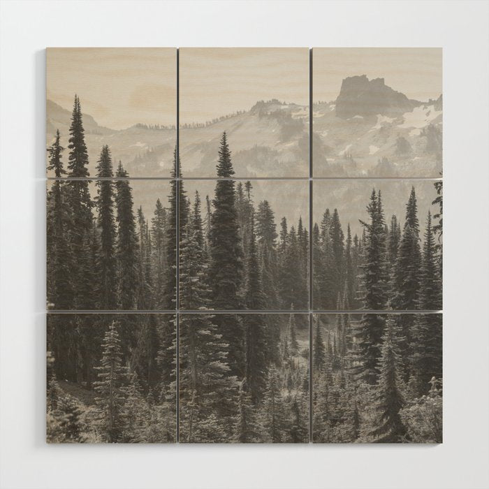 Escape to the Wilds - Black and White Nature Photography Wood Wall Art Gallery Image 1