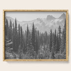 Escape to the Wilds - Black and White Nature Photography Serving Tray Gallery Image 1