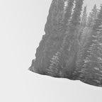 Escape to the Wilds - Black and White Nature Photography Pillow Sham Gallery Image 4
