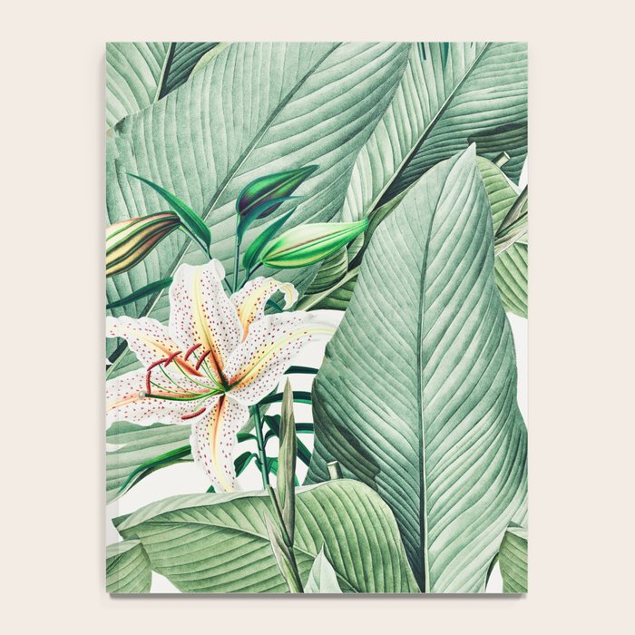 Tropical state Notebook Gallery Image 4