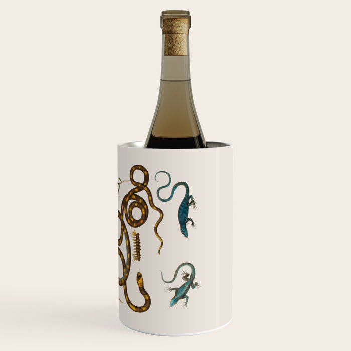Albertus Seba Snakes And Lizards Wine Chiller Gallery Image 3