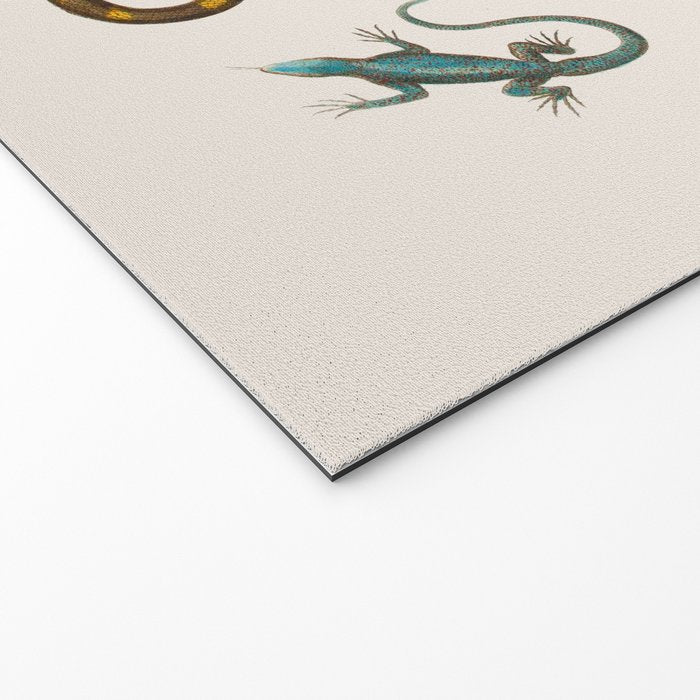 Albertus Seba Snakes And Lizards Welcome Mat Gallery Image 2