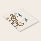 Albertus Seba Snakes And Lizards Notebook Gallery Image 2
