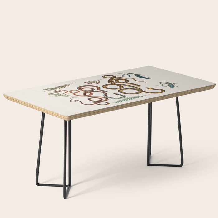 Albertus Seba Snakes And Lizards Coffee Table Gallery Image 1