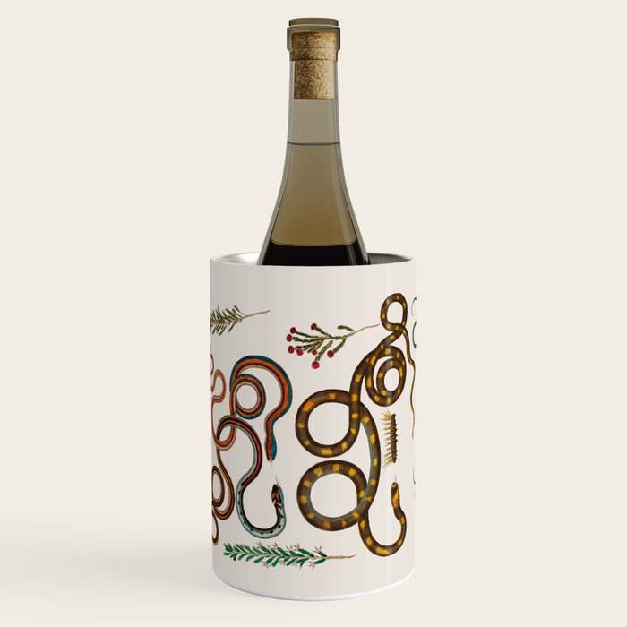 Albertus Seba Snakes And Lizards Wine Chiller Gallery Image 1