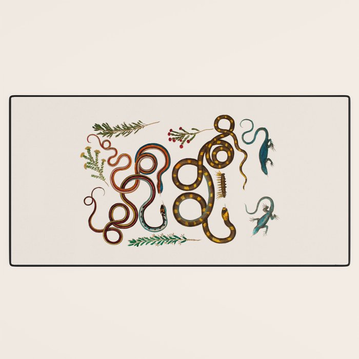 Albertus Seba Snakes And Lizards Desk Mat Gallery Image 3
