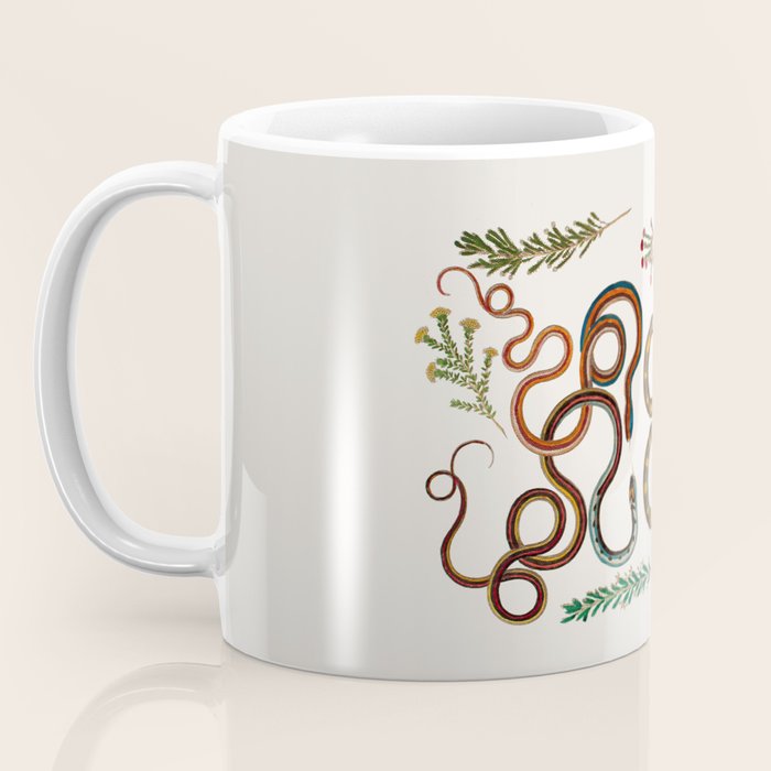 Albertus Seba Snakes And Lizards Coffee Mug Gallery Image 3