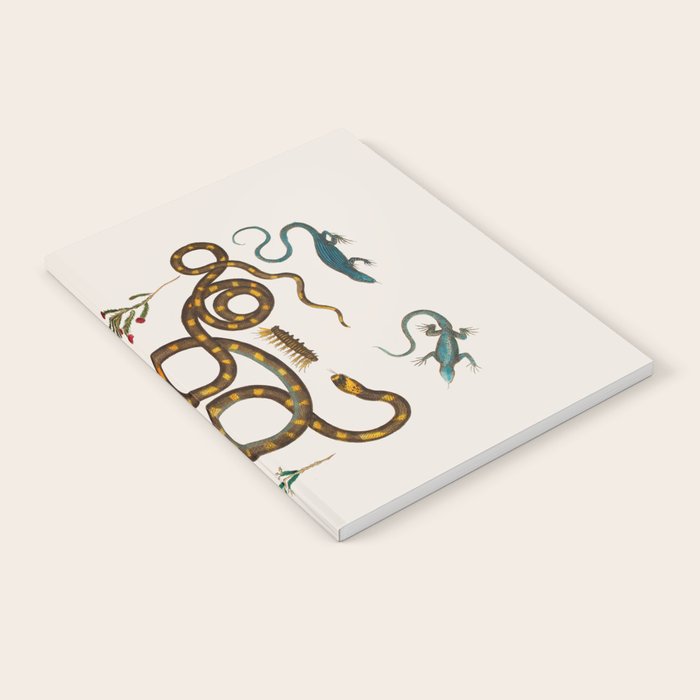 Albertus Seba Snakes And Lizards Notebook Gallery Image 1