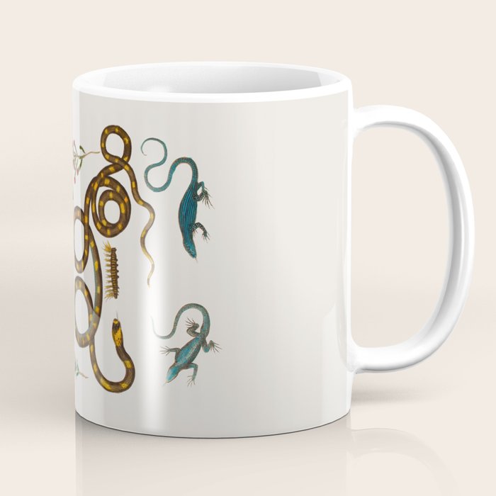 Albertus Seba Snakes And Lizards Coffee Mug Gallery Image 1