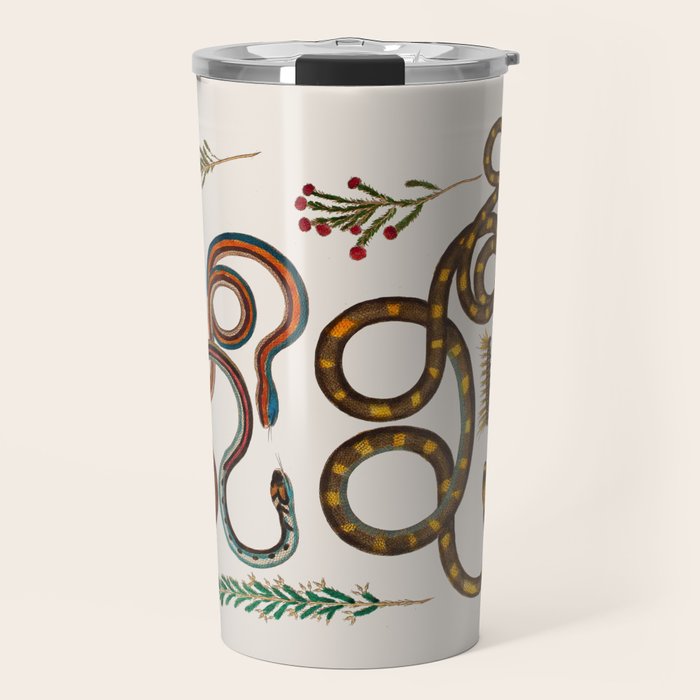 Albertus Seba Snakes And Lizards Travel Mug Gallery Image 1