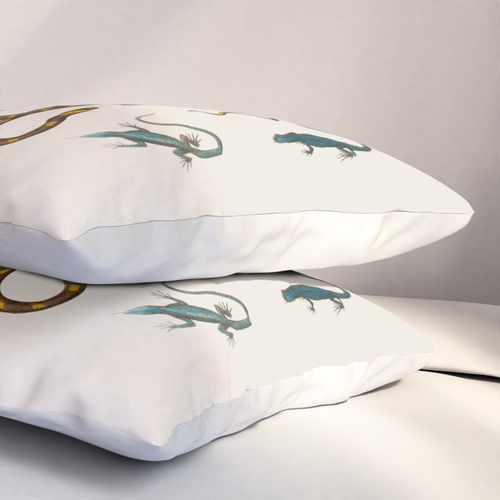 Albertus Seba Snakes And Lizards Pillow Sham Gallery Image 3