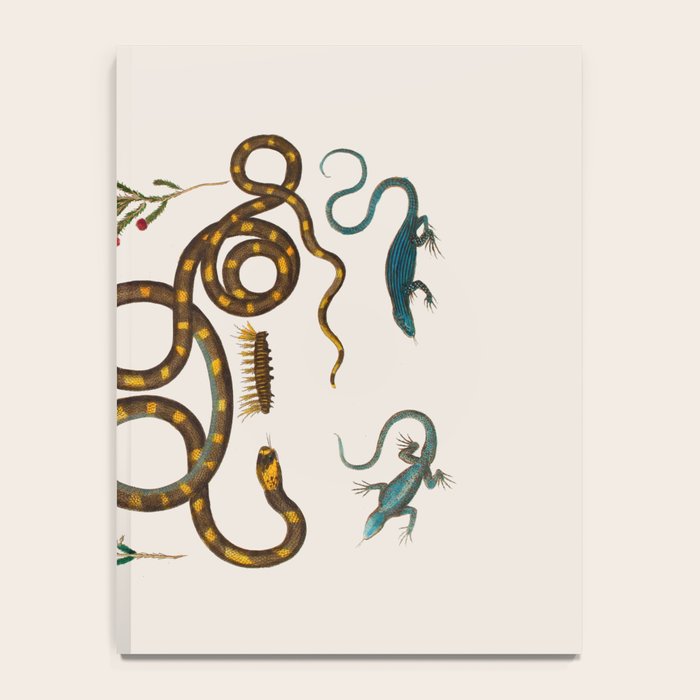 Albertus Seba Snakes And Lizards Notebook Gallery Image 4