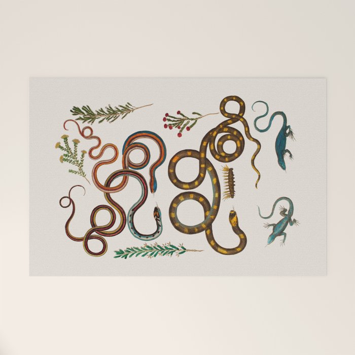 Albertus Seba Snakes And Lizards Welcome Mat Gallery Image 1