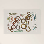 Albertus Seba Snakes And Lizards Welcome Mat Gallery Image 1