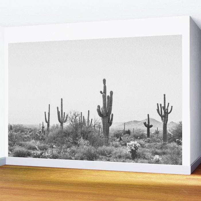 ARIZONA DESERT VI / Scottsdale Wall Mural Gallery Image 2