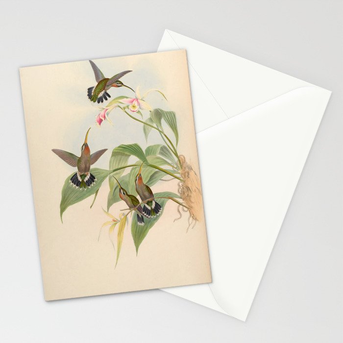 Rucker's Hermit Hummingbird by John Gould, 1861 (benefitting the Nature Conservancy) Stationery Card Gallery Image 2