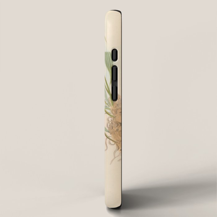 Rucker's Hermit Hummingbird by John Gould, 1861 (benefitting the Nature Conservancy) iPhone Case Gallery Image 2