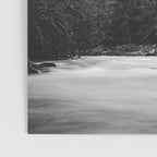Pacific Northwest River - Black and White Nature Photography Poster Gallery Image 3