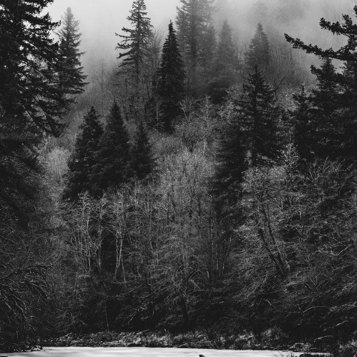 Pacific Northwest River - Black and White Nature Photography Coffee Mug Gallery Image 2