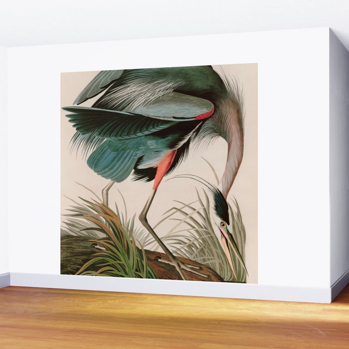 Great Blue Heron Birds of America Audubon Illustration Wall Mural Gallery Image 2