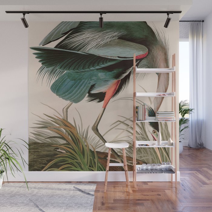 Great Blue Heron Birds of America Audubon Illustration Wall Mural Gallery Image 1