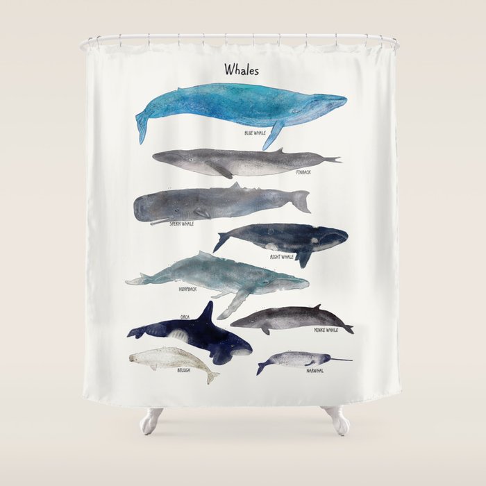 whales Shower Curtain Gallery Image 1