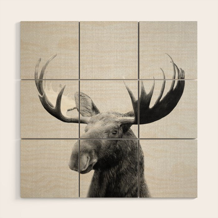Moose - Black & White Wood Wall Art Gallery Image 1