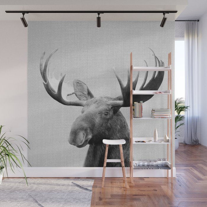 Moose - Black & White Wall Mural Gallery Image 1