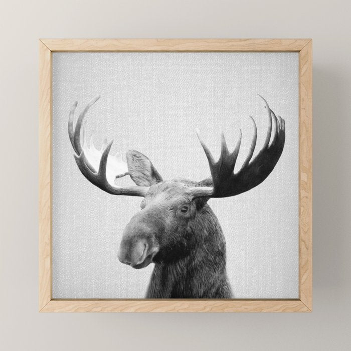 Moose - Black & White Mini Art Print Gallery Image 1