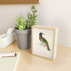 Great barbet by Elizabeth Gould from "A Century of Birds from the Himalaya Mountains," 1831 Mini Art Print Gallery Image 2