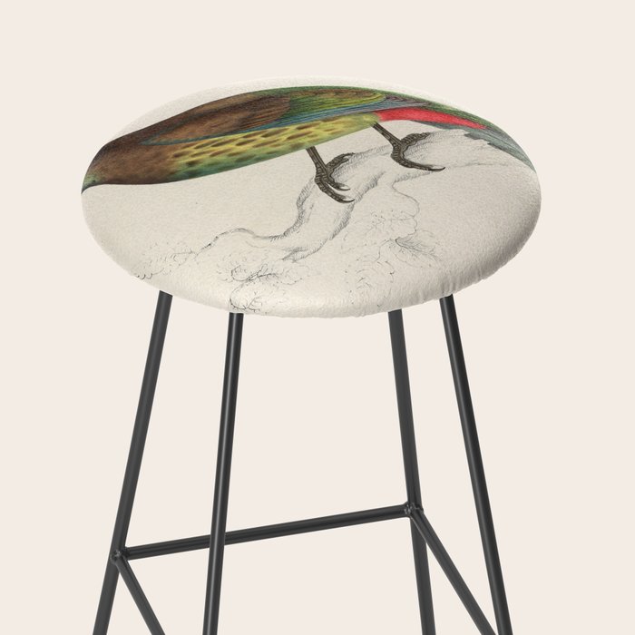 Great barbet by Elizabeth Gould from "A Century of Birds from the Himalaya Mountains," 1831 Stool Gallery Image 2
