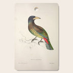 Great barbet by Elizabeth Gould from "A Century of Birds from the Himalaya Mountains," 1831 Cutting Board Gallery Image 1