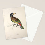 Great barbet by Elizabeth Gould from "A Century of Birds from the Himalaya Mountains," 1831 Stationery Card Gallery Image 2