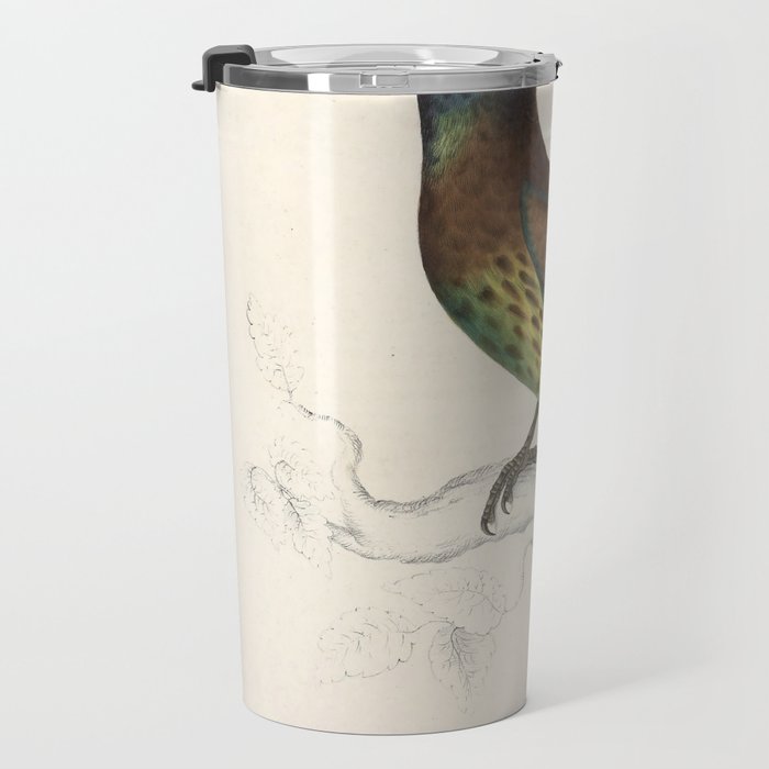 Great barbet by Elizabeth Gould from "A Century of Birds from the Himalaya Mountains," 1831 Travel Mug Gallery Image 3