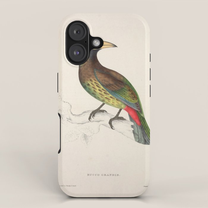 Great barbet by Elizabeth Gould from "A Century of Birds from the Himalaya Mountains," 1831 iPhone Case Gallery Image 1