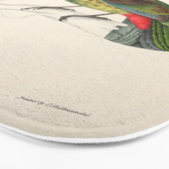 Great barbet by Elizabeth Gould from "A Century of Birds from the Himalaya Mountains," 1831 Bath Mat Gallery Image 3