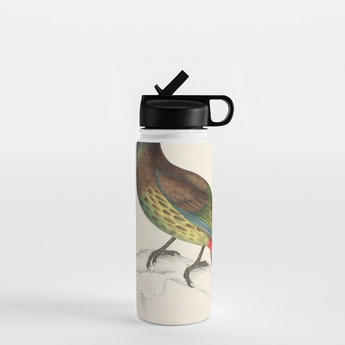 Great barbet by Elizabeth Gould from "A Century of Birds from the Himalaya Mountains," 1831 Water Bottle Gallery Image 1