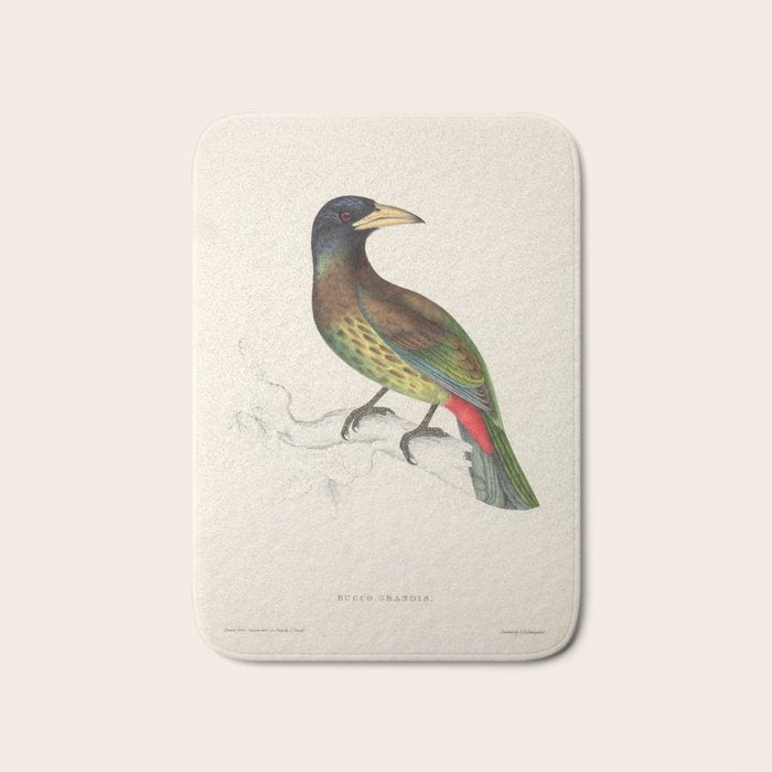 Great barbet by Elizabeth Gould from "A Century of Birds from the Himalaya Mountains," 1831 Bath Mat Gallery Image 1