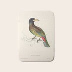 Great barbet by Elizabeth Gould from "A Century of Birds from the Himalaya Mountains," 1831 Bath Mat Gallery Image 1