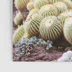 Cactus Garden #2 Poster Gallery Image 3