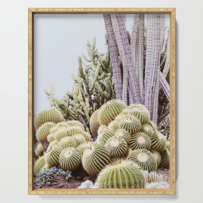 Cactus Garden #2 Serving Tray Gallery Image 1