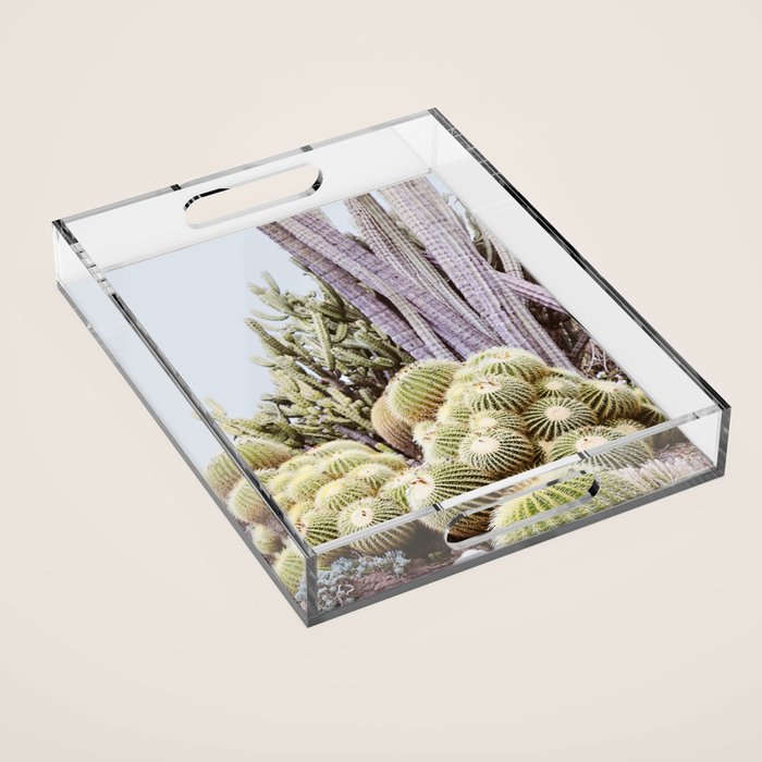Cactus Garden #2 Acrylic Tray Gallery Image 1