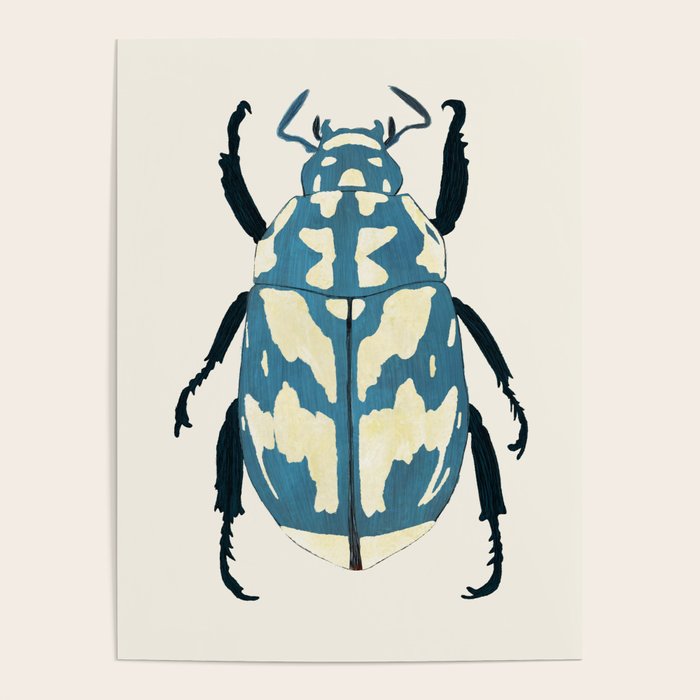 Blue beetle insect Poster Gallery Image 1