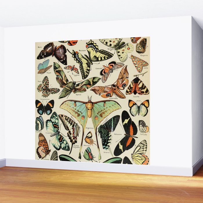 French Vintage Butterflies Chart Adolphe Millot Papillons Larousse Pour Tous Cozy Boho Maximalist Wall Mural Gallery Image 2
