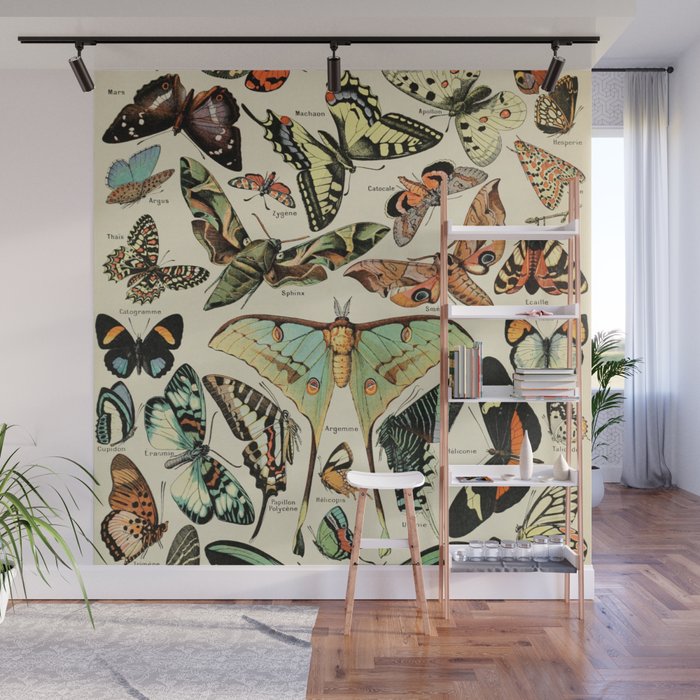 French Vintage Butterflies Chart Adolphe Millot Papillons Larousse Pour Tous Cozy Boho Maximalist Wall Mural Gallery Image 1