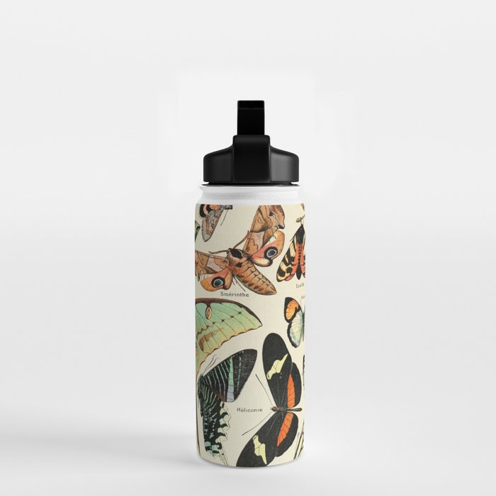 French Vintage Butterflies Chart Adolphe Millot Papillons Larousse Pour Tous Cozy Boho Maximalist Water Bottle Gallery Image 2