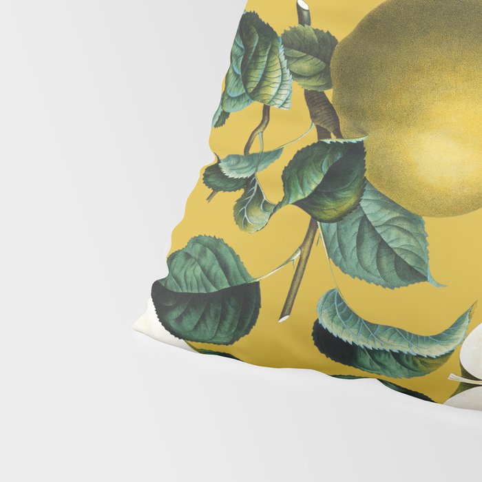 Vintage Fruit Pattern III Pillow Sham Gallery Image 4