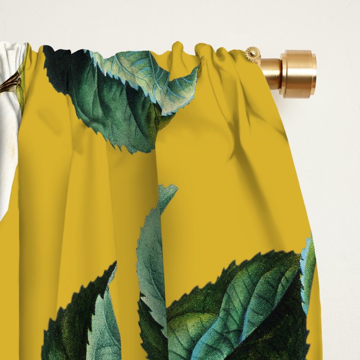 Vintage Fruit Pattern III Window Curtain Gallery Image 2