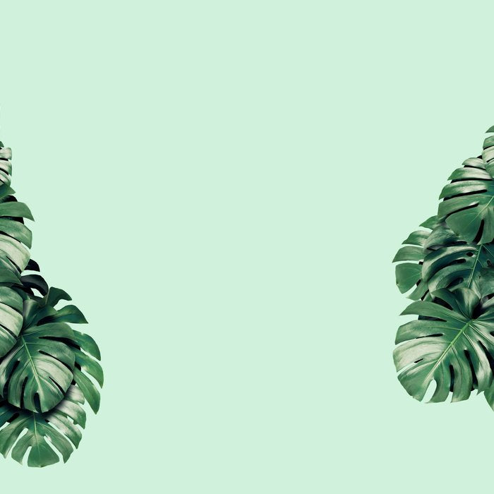 MONSTERA BIRD Coffee Mug Gallery Image 2
