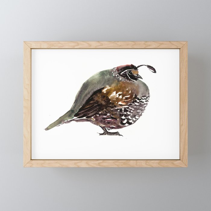 California Quail Mini Art Print Gallery Image 1